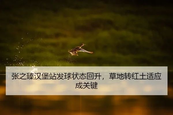 张之臻汉堡站发球状态回升，草地转红土适应成关键