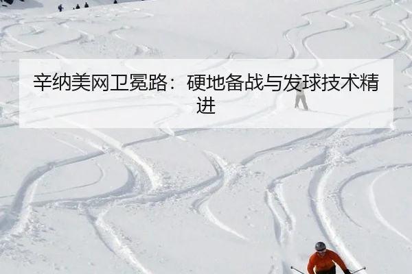 xin-na-mei-wang-wei-mian-lu-ying-di-bei-zhan-yu-fa-qiu-ji-shu-jing-jin-3-317.jpg