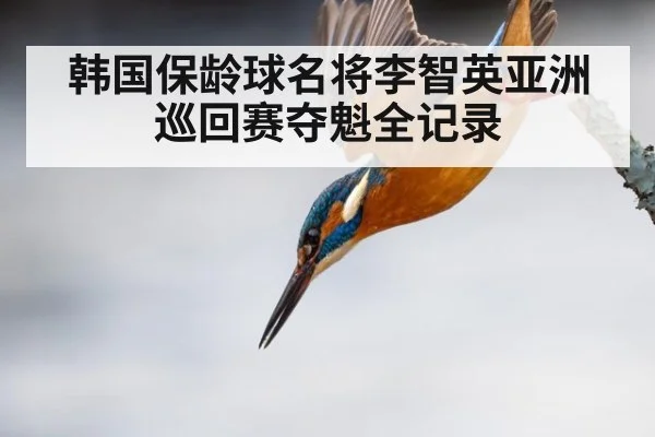韩国保龄球名将李智英亚洲巡回赛夺魁全记录